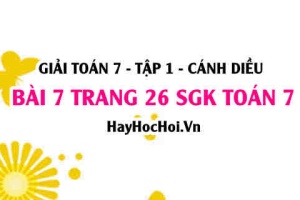 Giải bài 7 trang 26 Toán 7 Tập 1 SGK Cánh Diều